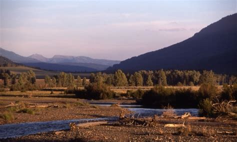 yellowstone lamar valley webcams.